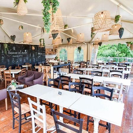 Safaritent Glamping Orlando In Chianti 가브리클리아 외부 사진