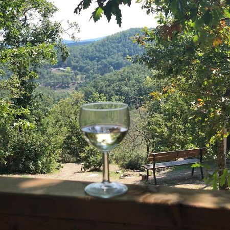 Safaritent Glamping Orlando In Chianti 가브리클리아 외부 사진